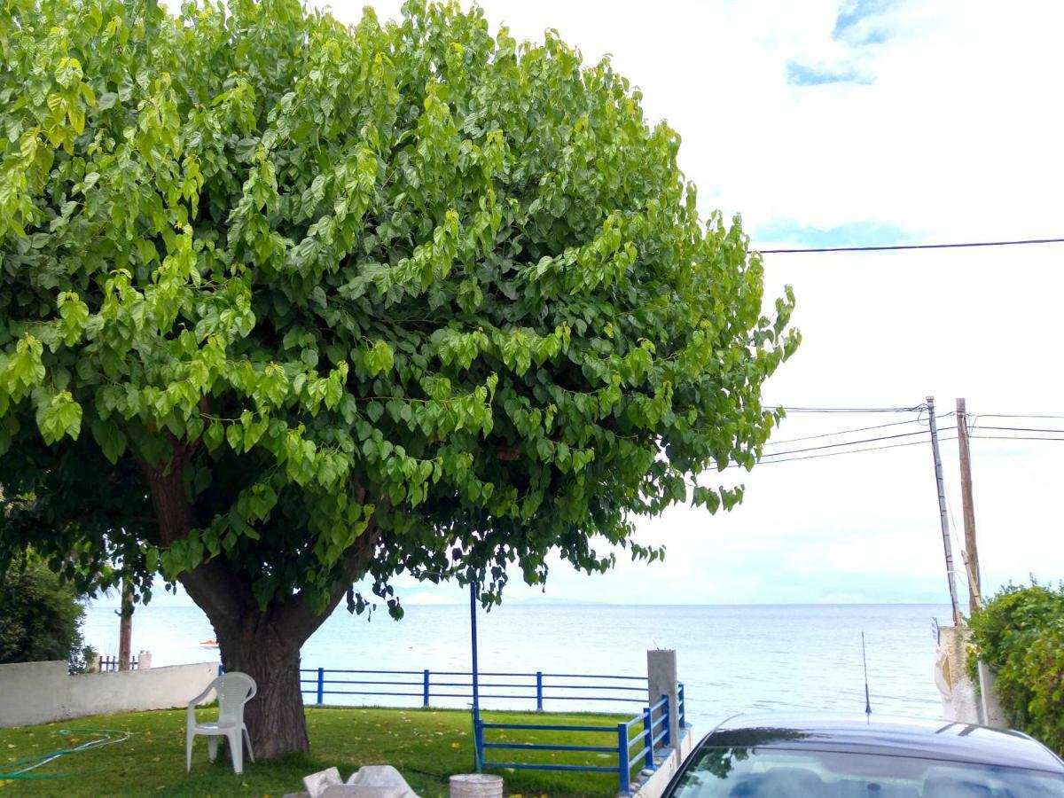 Papadogiannopoulos House Égio Exterior foto
